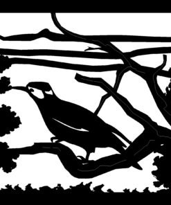 Pajaro paisaje